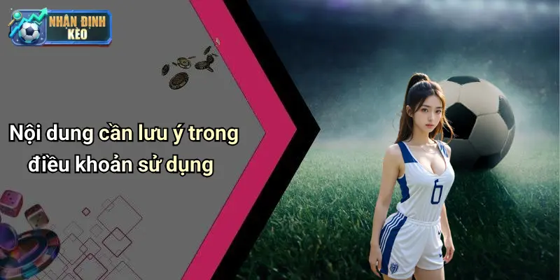 Nội dung cần lưu ý trong điều khoản sử dụng