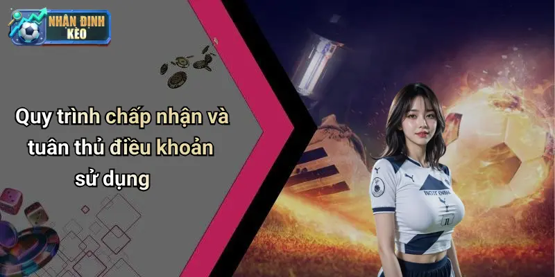 Quy trình chấp nhận và tuân thủ điều khoản sử dụng
