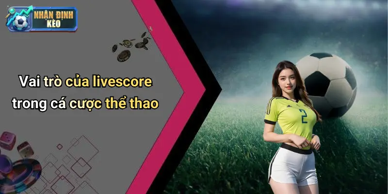 Vai trò của livescore trong cá cược thể thao
