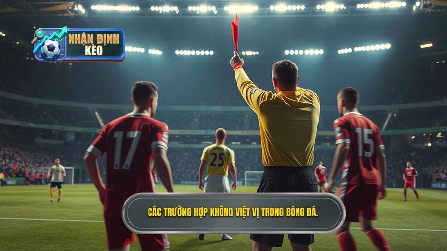 2. Các trường hợp không việt vị trong bóng đá.