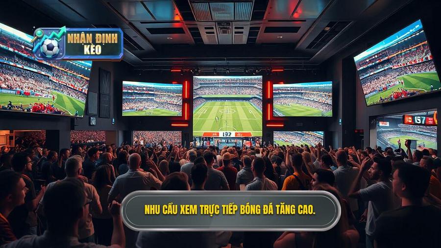 Tại sao nhu cầu xem trực tiếp bóng đá hôm nay ngày càng tăng cao?