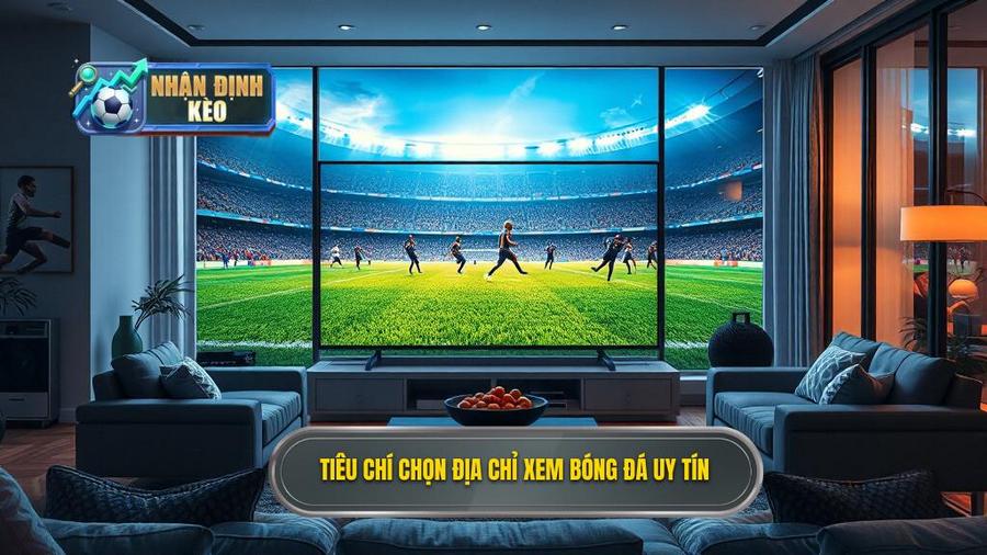 Những tiêu chí lựa chọn địa chỉ xem trực tiếp bóng đá hôm nay uy tín